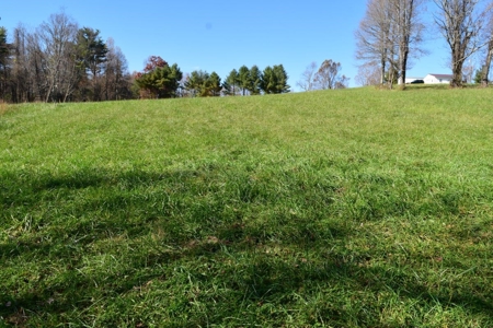 Building Lot for Sale in Floyd County VA - image 11