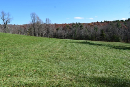 Building Lot for Sale in Floyd County VA - image 20