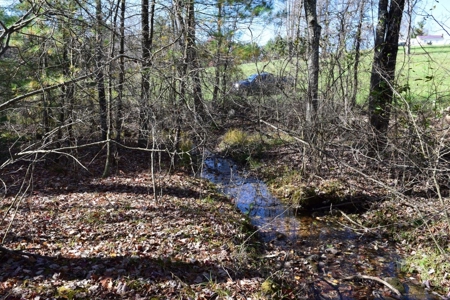 Building Lot for Sale in Floyd County VA - image 9