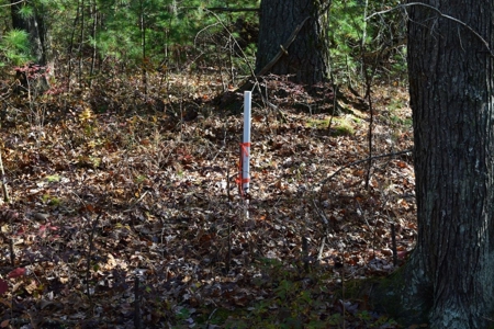 Building Lot for Sale in Floyd County VA - image 14