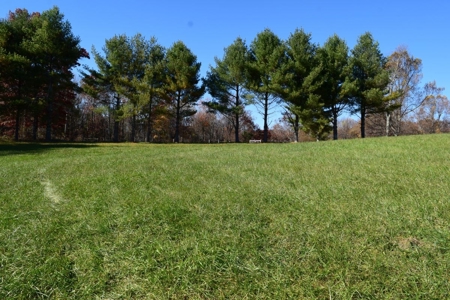 Building Lot for Sale in Floyd County VA - image 19