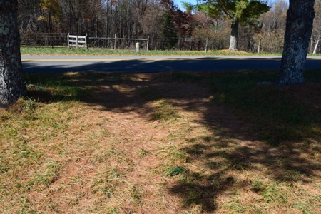 Building Lot for Sale in Floyd County VA - image 4