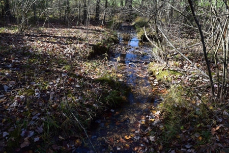 Building Lot for Sale in Floyd County VA - image 8