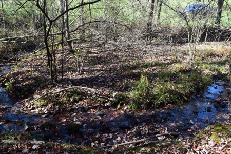 Building Lot for Sale in Floyd County VA - image 10