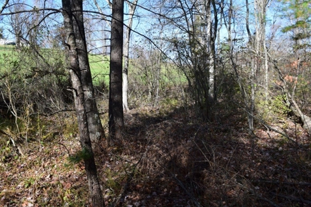 Building Lot for Sale in Floyd County VA - image 16