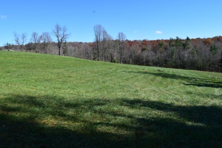 Building Lot for Sale in Floyd County VA - image 3