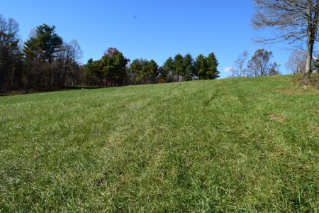 Building Lot for Sale in Floyd County VA - image 6