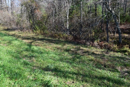 Building Lot for Sale in Floyd County VA - image 12