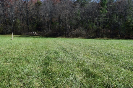 Building Lot for Sale in Floyd County VA - image 5