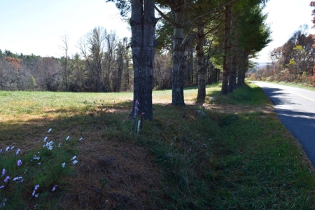 Building Lot for Sale in Floyd County VA - image 21