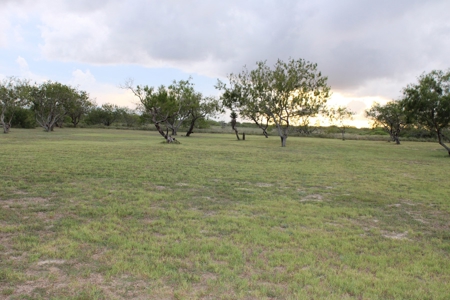Large Lot (.87 Acre) in Port Mansfield, TX - image 2