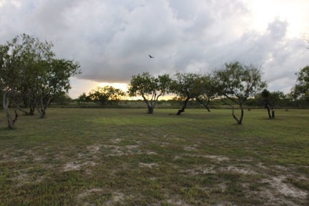 Large Lot (.87 Acre) in Port Mansfield, TX - image 5