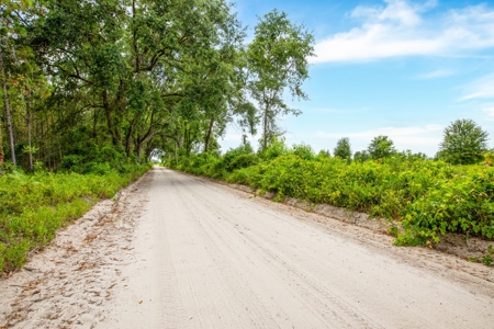 Land For Sale In Florida - image 17