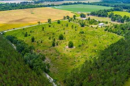 Land For Sale In Florida - image 14
