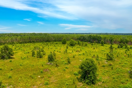 Land For Sale In Florida - image 8