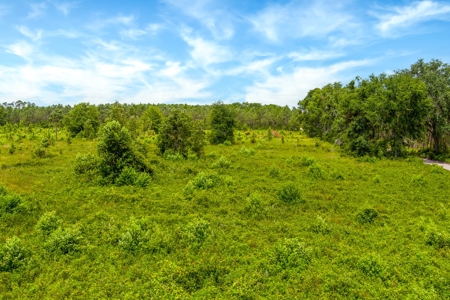 Land For Sale In Florida - image 9