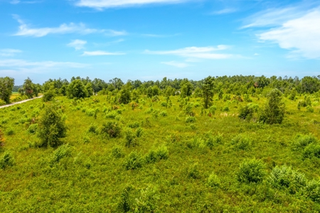 Land For Sale In Florida - image 10
