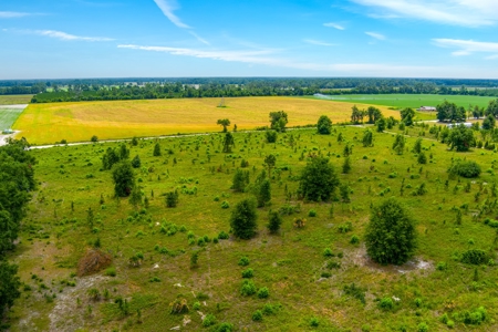 Land For Sale In Florida - image 12