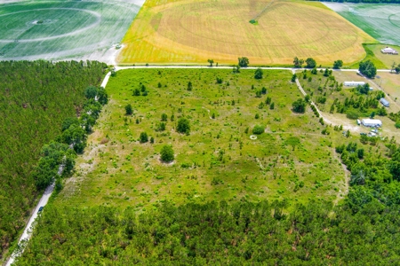 Land For Sale In Florida - image 5