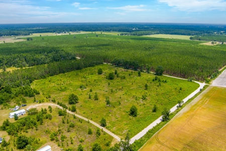 Land For Sale In Florida - image 3