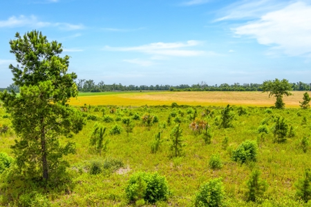 Land For Sale In Florida - image 15