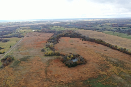 Worth County CRP Farm For Sale - image 7