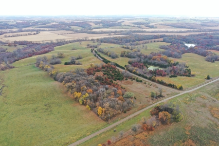 Worth County CRP Farm For Sale - image 9