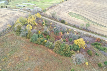 Worth County CRP Farm For Sale - image 15
