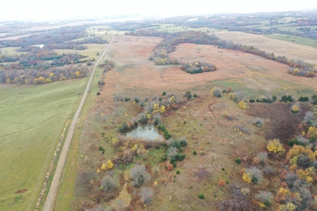 Worth County CRP Farm For Sale - image 4