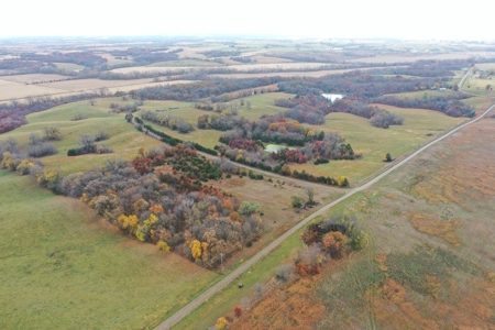 Worth County CRP Farm For Sale - image 8