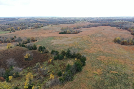 Worth County CRP Farm For Sale - image 17