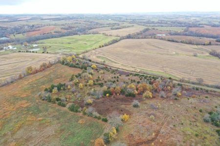 Worth County CRP Farm For Sale - image 12