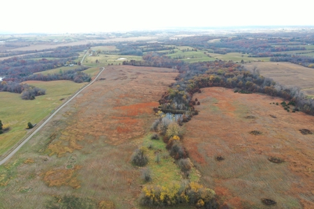 Worth County CRP Farm For Sale - image 11