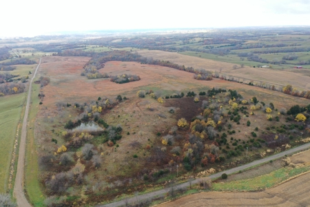 Worth County CRP Farm For Sale - image 3