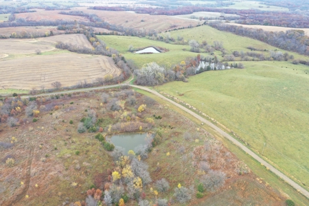 Worth County CRP Farm For Sale - image 13