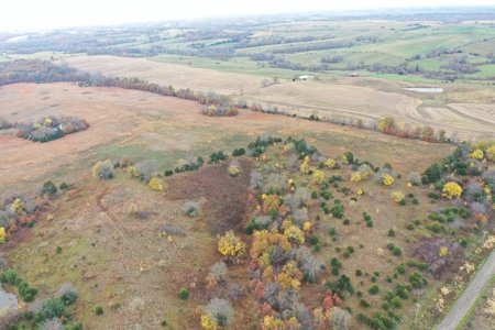 Worth County CRP Farm For Sale - image 5