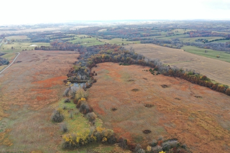 Worth County CRP Farm For Sale - image 10