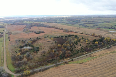 Worth County CRP Farm For Sale - image 2
