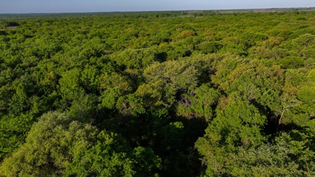 North Texas Hill Country Ranch Land in Montague County - image 5