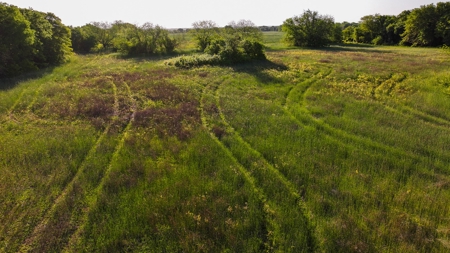 North Texas Hill Country Ranch Land in Montague County - image 3