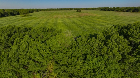 North Texas Hill Country Ranch Land in Montague County - image 11