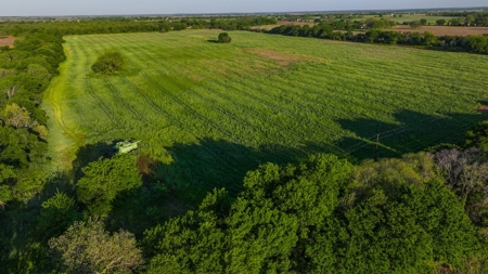 North Texas Hill Country Ranch Land in Montague County - image 1