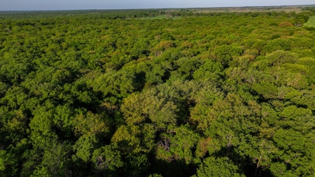 North Texas Hill Country Ranch Land in Montague County - image 6