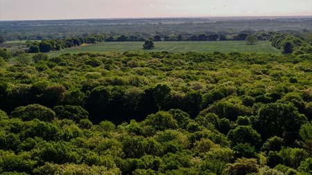 North Texas Hill Country Ranch Land in Montague County - image 12