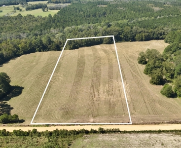 Land for sale Samson, AL - image 2