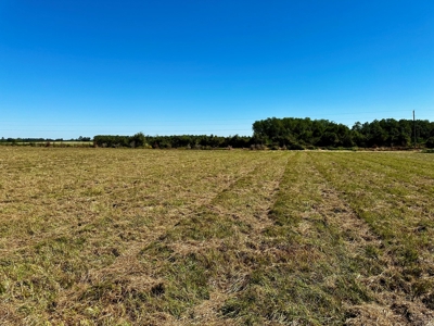 Land for sale Samson, AL - image 6
