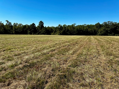 Land for sale Samson, AL - image 4