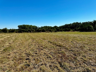 Land for sale Samson, AL - image 5