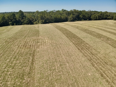 Land for sale Samson, AL - image 10