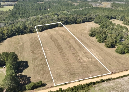 Land for sale Samson, AL - image 1